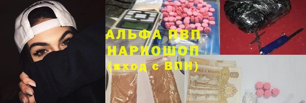 индика Козловка
