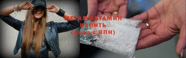 индика Козловка