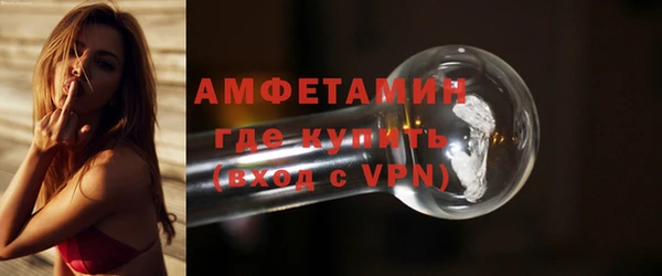 индика Козловка
