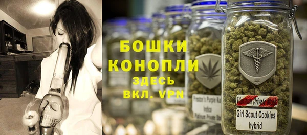 индика Козловка