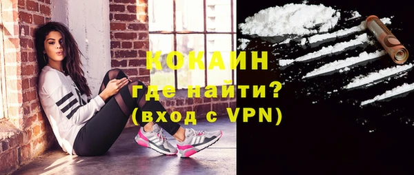 индика Козловка